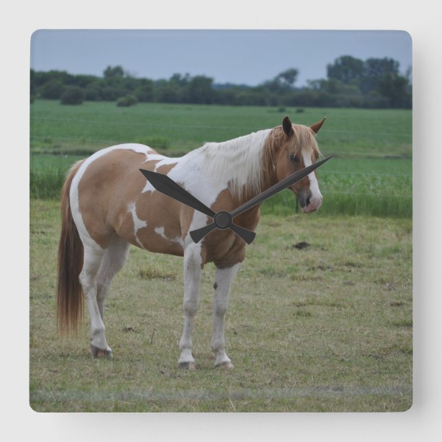 Relógio Quadrado Cavalo da pintura de Tobiano (Frente)