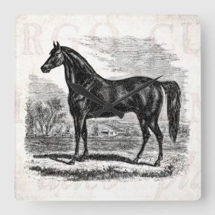 Relógio Quadrado Cavalo dos 1800s do vintage - modelo do Equestrian
