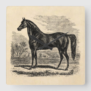 Relógio Quadrado Cavalo dos 1800s do vintage - modelo do Equestrian