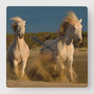 Relógio Quadrado Cavalos brancos que funcionam na praia   Camargue,