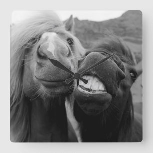 Relógio Quadrado Cavalos de sorriso das imagens de Getty