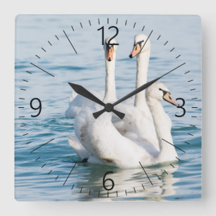 Relógio Quadrado Cisnes