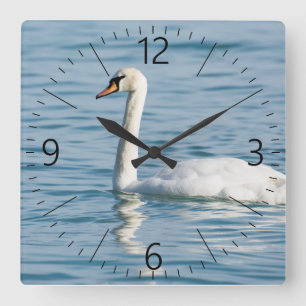 Relógio Quadrado Cisnes