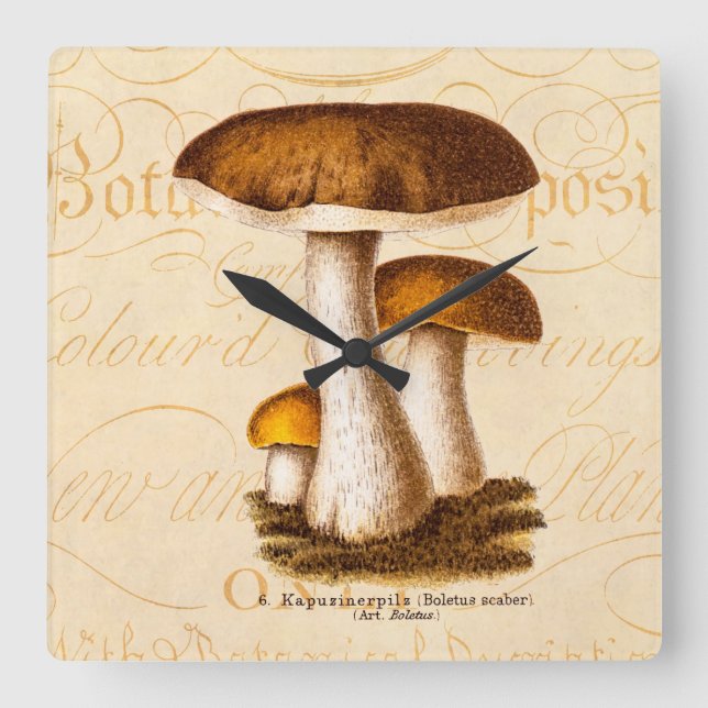Relógio Quadrado Cogumelos castanhos Scaber de Mushroom 1800s (Frente)