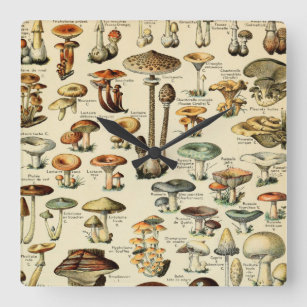 Relógio Quadrado Cogumelos e fungos Vintage