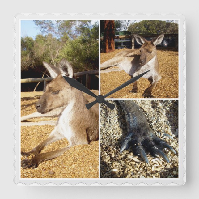 Relógio Quadrado Colagem de 3 imagens de Kangaroo, (Frente)
