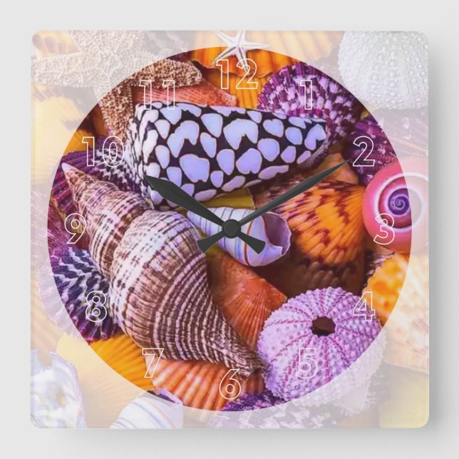 Relógio Quadrado Conchas marítimas (Frente)
