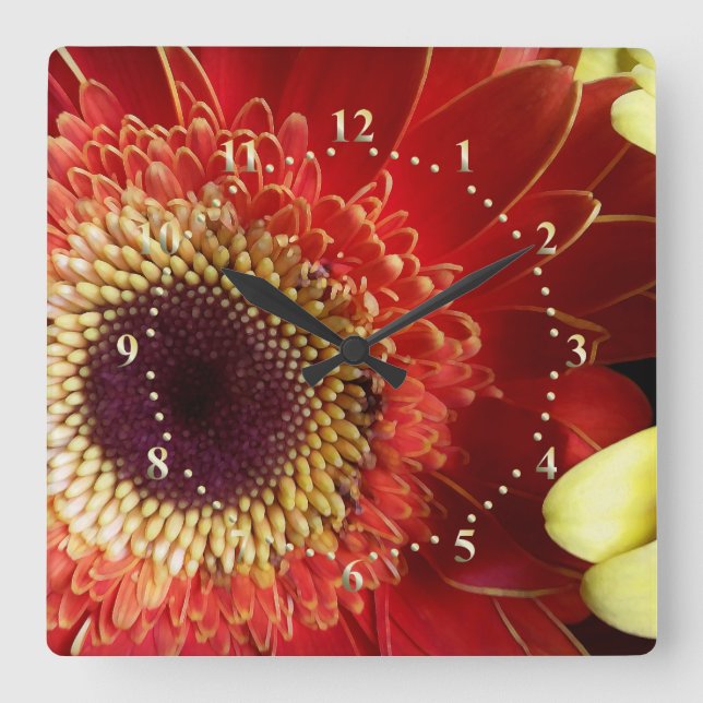 Relógio Quadrado Cores de Gerberas (Frente)