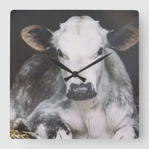 Relógio Quadrado Corte de Dia Ocupado