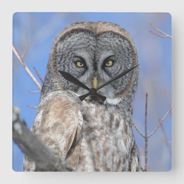 Relógio Quadrado Coruja (Frente)