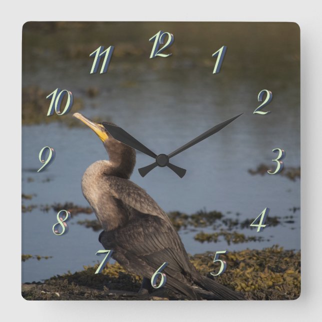 Relógio Quadrado Corvo-marinho (Frente)