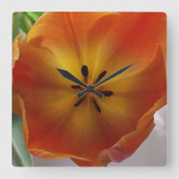 Cozinha alaranjada da flor da tulipa