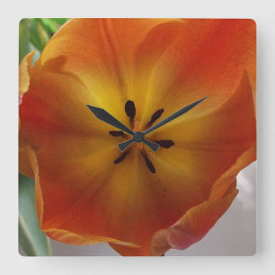 Relógio Quadrado Cozinha alaranjada da flor da tulipa