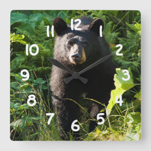 Relógio Quadrado Curious Black Bear