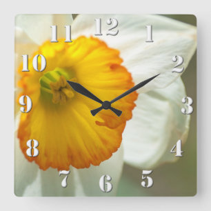 Relógio Quadrado Daffodil