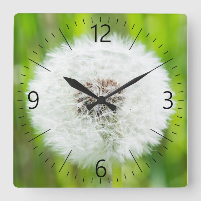 Relógio Quadrado Dandelion (Frente)