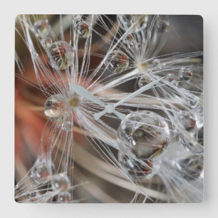 Relógio Quadrado Dandelion Abstrato