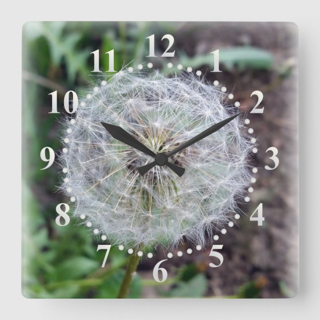 Relógio Quadrado dandelion bloom (Frente)