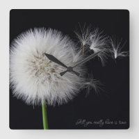 Dandelion na brisa