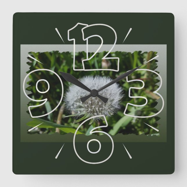 Relógio Quadrado Dandelion na grama (Frente)