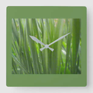 Relógio Quadrado Decoração verde de Eco