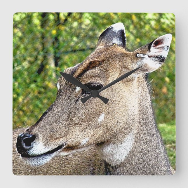 RELÓGIO QUADRADO DEER (Frente)