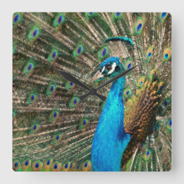 Relógio Quadrado Der blaue Pfau