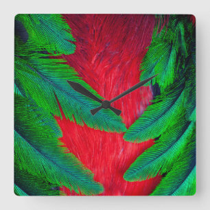 Relógio Quadrado desenho de pena de quetzal resplandecente