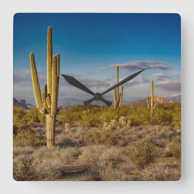 Relógio Quadrado Deserts | Superstition Mountains, Arizona (Frente)