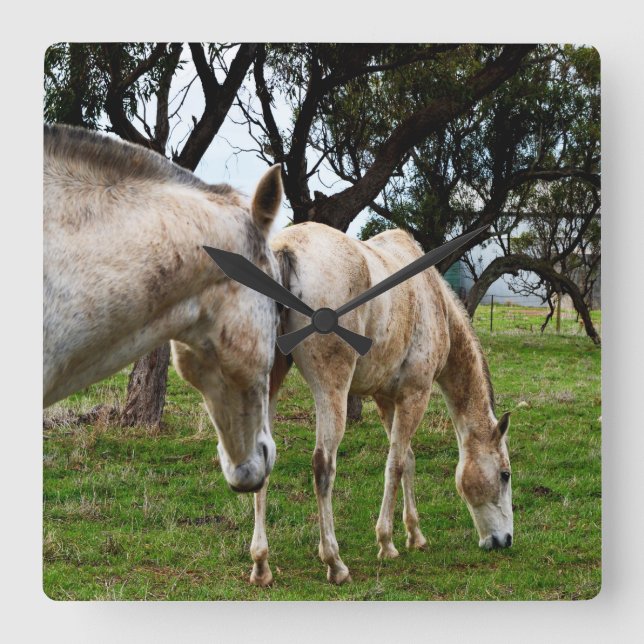 Relógio Quadrado Dois Cavalos Brancos De Raiva A Garrar, (Frente)