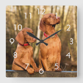Relógio Quadrado Dois Ouros Rust Vizsla Dogs Wall Clock
