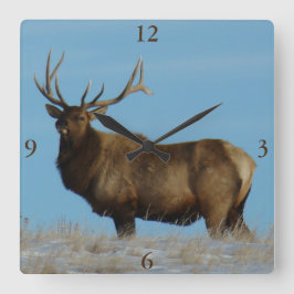 Relógio Quadrado E62 Bull Elk Sky Lined