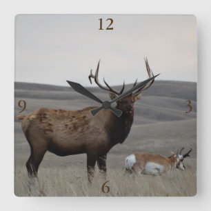 Relógio Quadrado E63 Touro Elk e Antílope Pronghorn