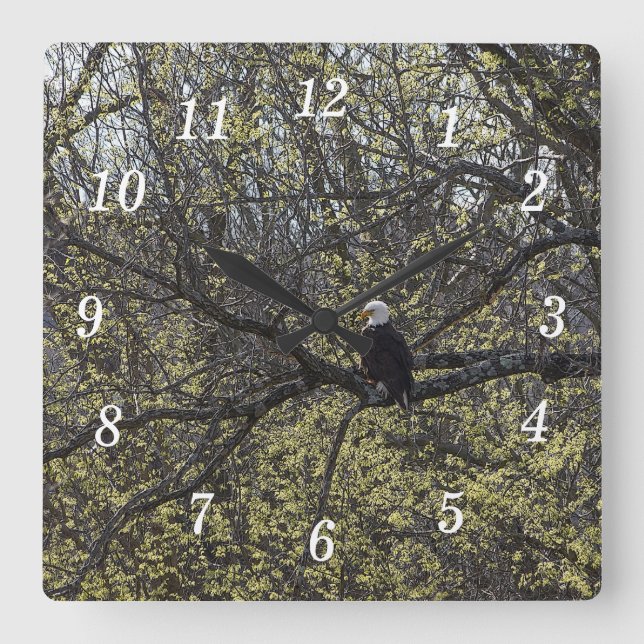 Relógio Quadrado Eagle Lookout Painterly Wall Clock (Frente)