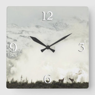 Relógio Quadrado Elk no Grand Teton National Park Fotografia