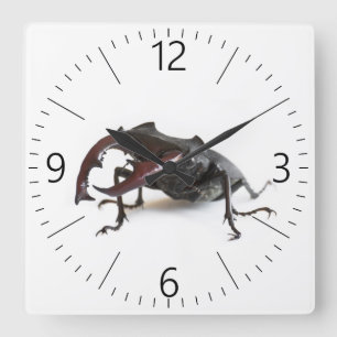 Relógio Quadrado Escaravelho