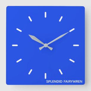Relógio Quadrado Esplêndido Nome de Cor Azul Fairywren