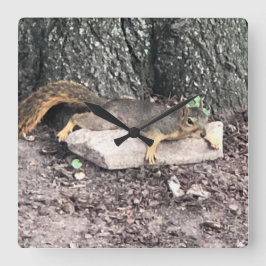 Relógio Quadrado Esquilo