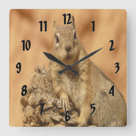 Relógio Quadrado Esquilo do ouro