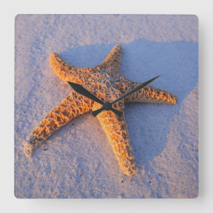 Relógio Quadrado Estrela do mar na areia branca