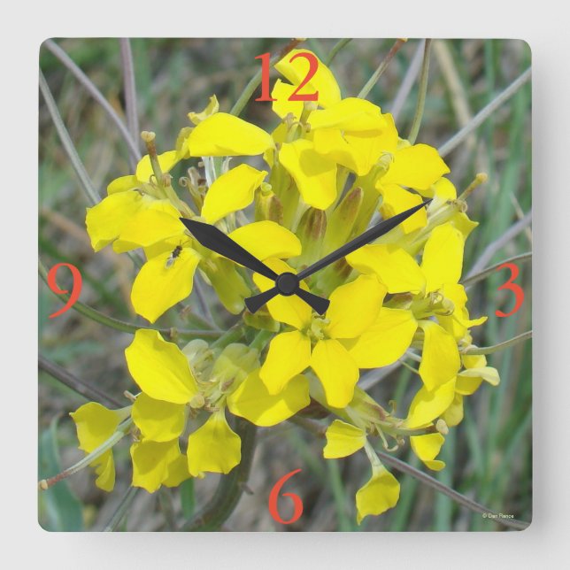 Relógio Quadrado F14 Flores Amarelas (Frente)