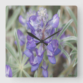 Relógio Quadrado F18 Flores Silvestres Roxas Lupino Anual
