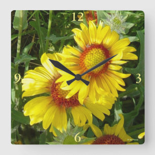 Relógio Quadrado F6 Amarelas Flores Silvestres Gaillardia