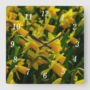Relógio Quadrado Família De Daffodils