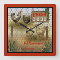 Fazenda de frango, ovos frescos, vindima