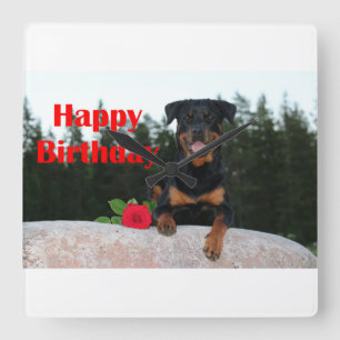Relógio Quadrado feliz aniversário do rottweiler