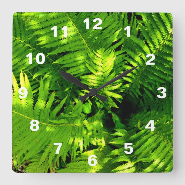 Relógio Quadrado Fern (Frente)