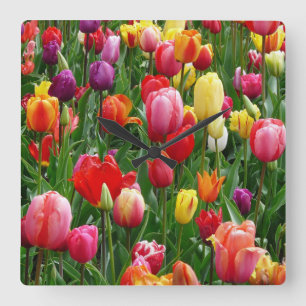 Relógio Quadrado Festival de Tulip
