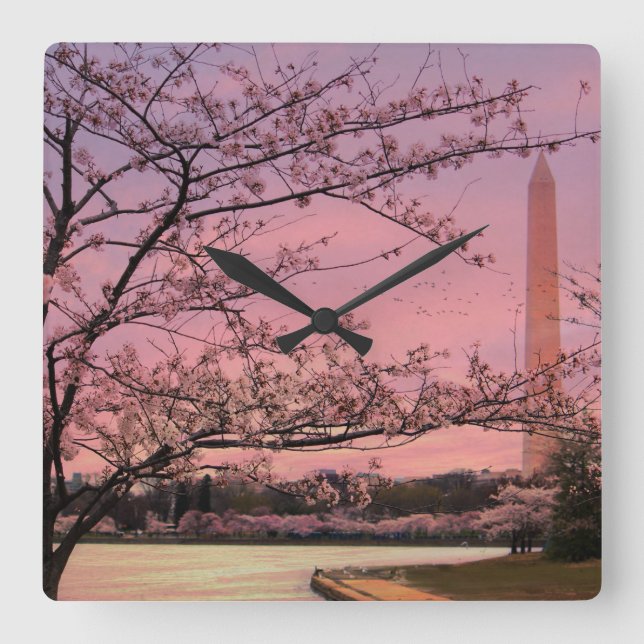 Relógio Quadrado Festival do Blossom de Cereja do Monumento de Wash (Frente)