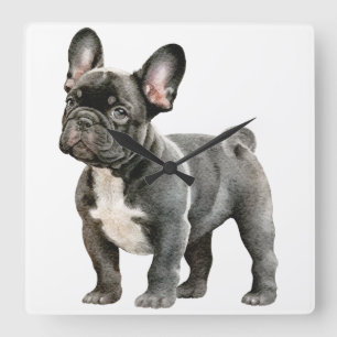 Relógio Quadrado Filhote de Bulldog Francês